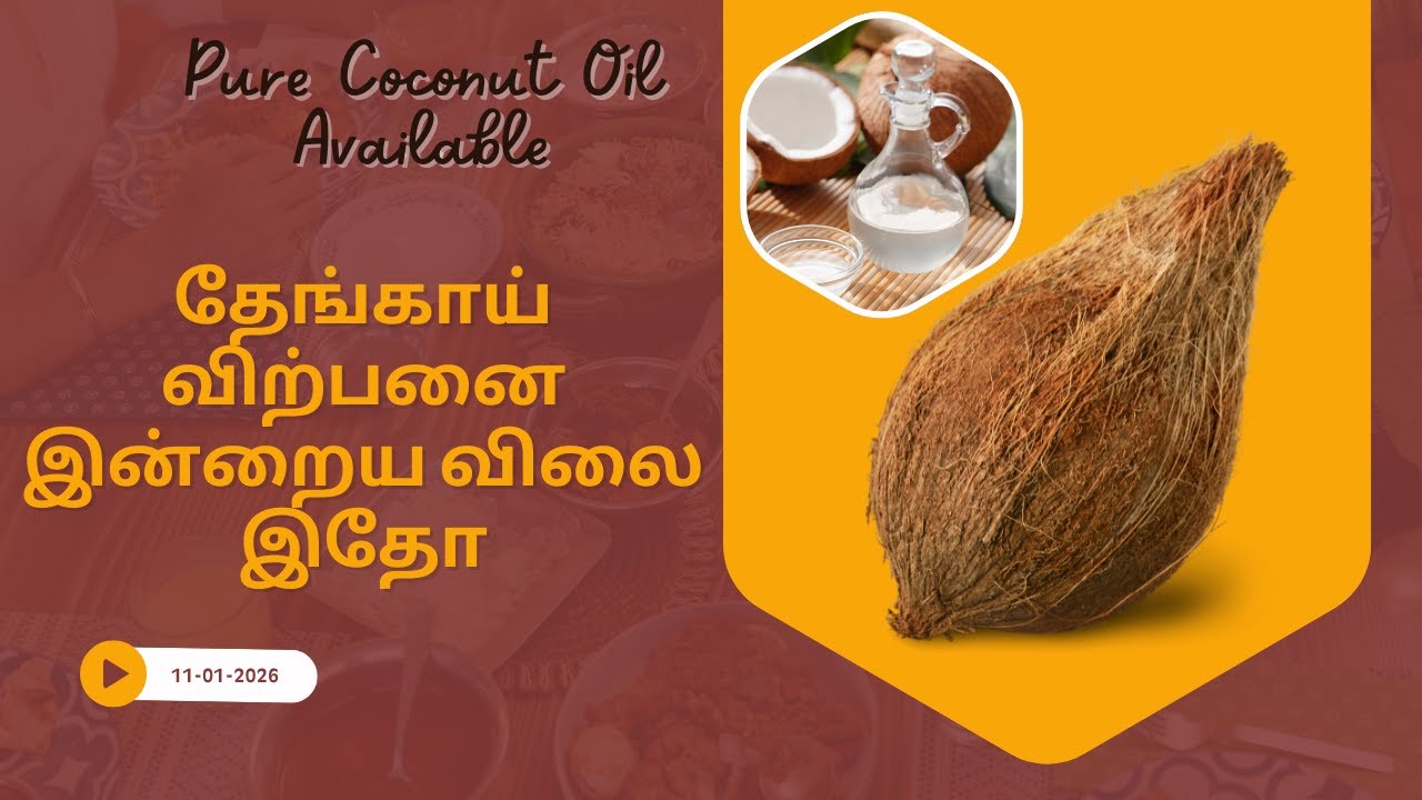 இதோ இன்றைய தேங்காய் விற்பனை விலை | Pure Coconut Oil Available 