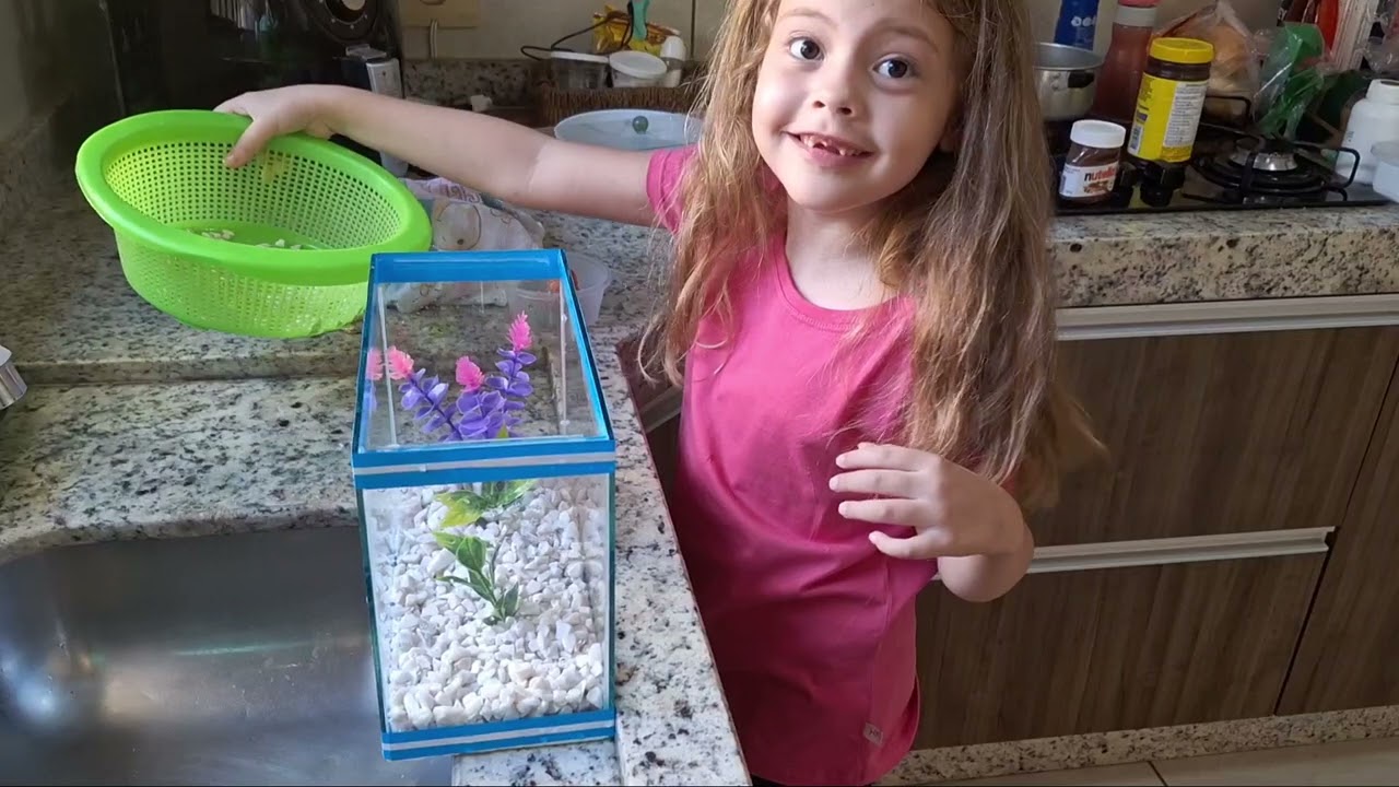 Como Limpar o Aquário do Peixe Betta