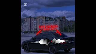 New Vizu Darkvardenis Tu Amor Bass