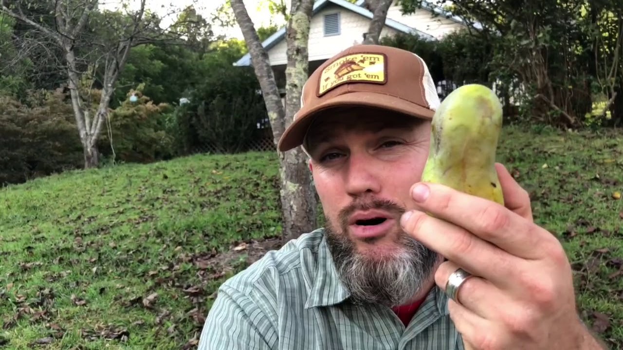 Sometimes money DOES grow on trees! 