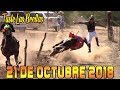 Carreras de Caballos en San Rafael de Ures, Sonora 21 de Octubre 2018