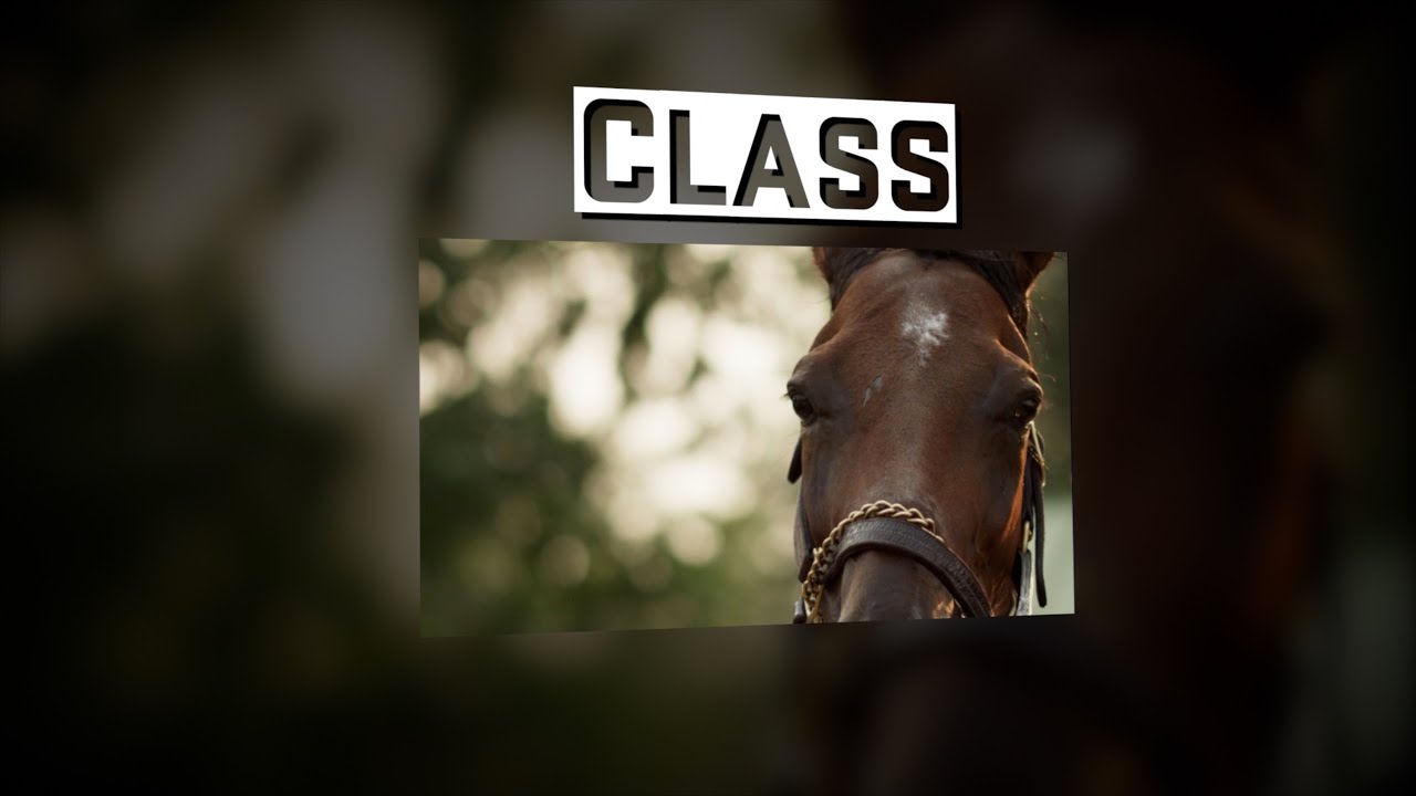 kentucky derby winner 2019 #TheAction: The Class System