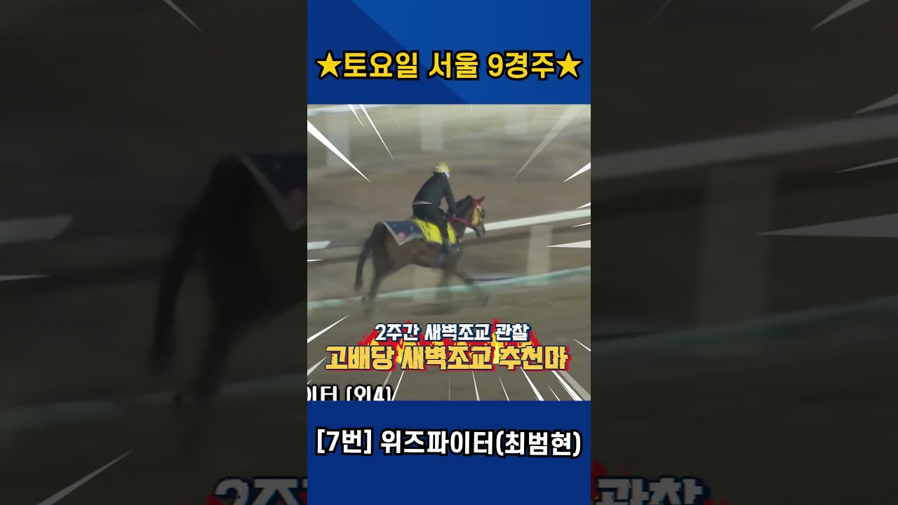 12월20일 토요일 서울 9경주!! 2주간 훈련변화 보인 강백호의 새벽조교 쏘스마!!#강백호경마 #shorts