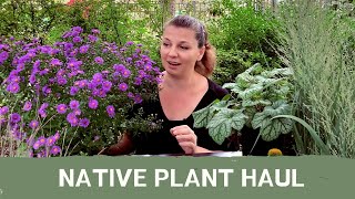 Huge Plant Haul ~ Native Plants ~ Y Garden