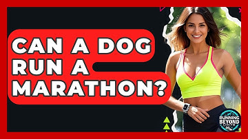 Can A Dog Run A Marathon? - Running Beyond Limits