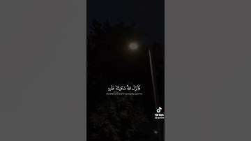 عن جمال هذة الآية🫂♥♥