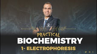 Electrophoresis  I  Practical Biochemistry I Haematology Module 2024