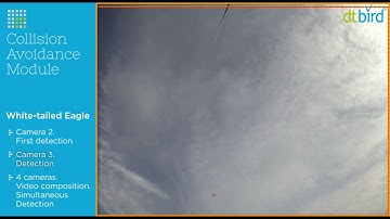Real-Time Bird Avoidance Behaviour: Protecting White-Tailed Eagles with DTBird