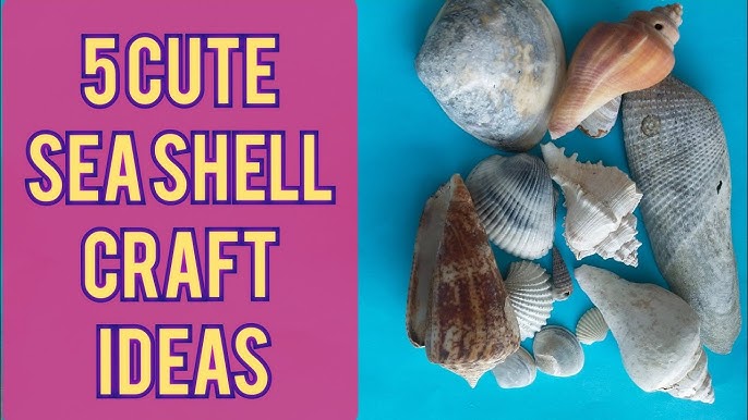 7 Amazing Sea Shell Craft Ideas, Reuse Sea shells