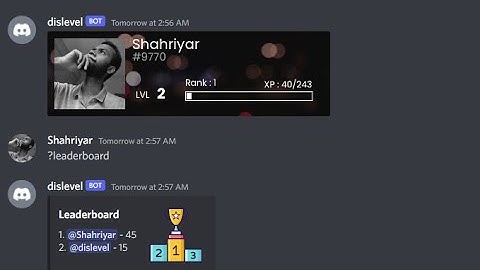 Make a leveling discord bot using nextcord and dislevel