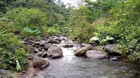 Khám phá thác nước cực đẹp bí ẩn trong rừng sâu (Phần 3)