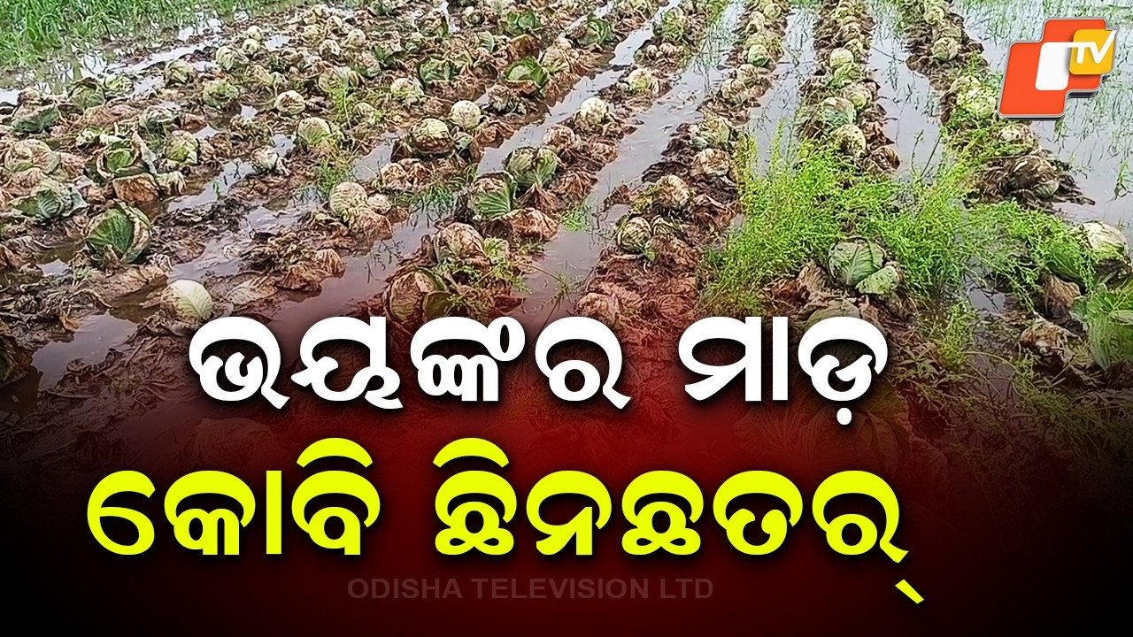 Kalbaisakhi Storm Devastates Crops in Basudebpur Region