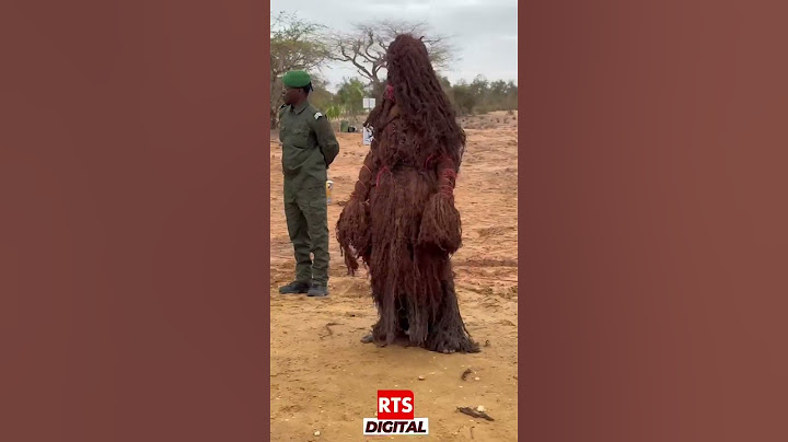 📍DIRECT – Journée de l’Arbre : Rao attend le PM Ousmane Sonko pour le début de la cérémonie.