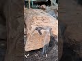 bow drill on log fireboard #firemaking #primitivefire