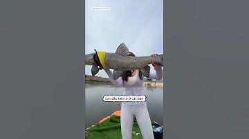 em cần thủ xin chuối của anh nông dân đang làm vườn để mang đi câu cá và cái kết  #fishing #cauca