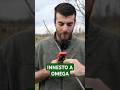 INNESTO A OMEGA: come e quando innestare con questa tecnica