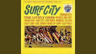 Video thumbnail of "The Lively Ones - Soul Surfer"