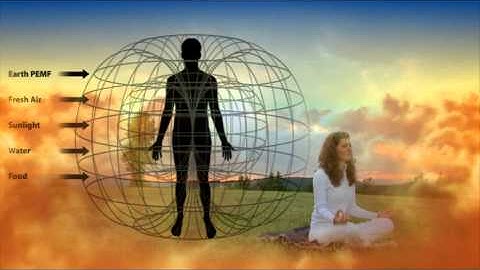 PEMF The Fifth Element of Health By Bryant A. Meyers