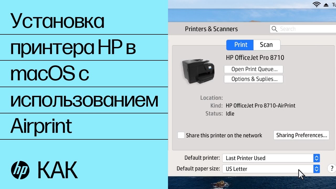 Универсальный драйвер для принтеров HP: все о модели, установке и настройке