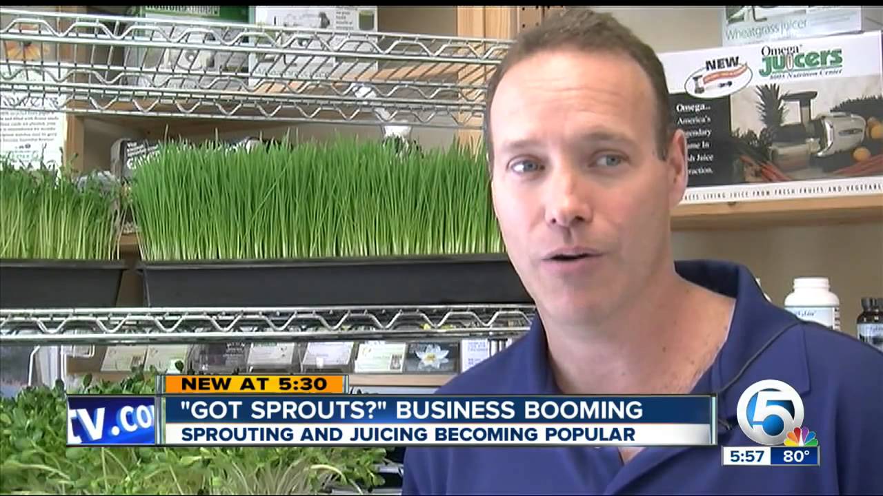 Got sprouts sean herbert interviewed by wptv news 5 in west palm