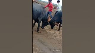 R̶a̶j̶a̶V̶s̶R̶a̶m̶a̶ g̶h̶a̶r̶i̶ s̶o̶d̶a̶l̶i̶ h̶o̶t̶i̶ n̶a̶n̶t̶a̶r̶ s̶o̶d̶u̶n̶ g̶h̶e̶t̶l̶i̶