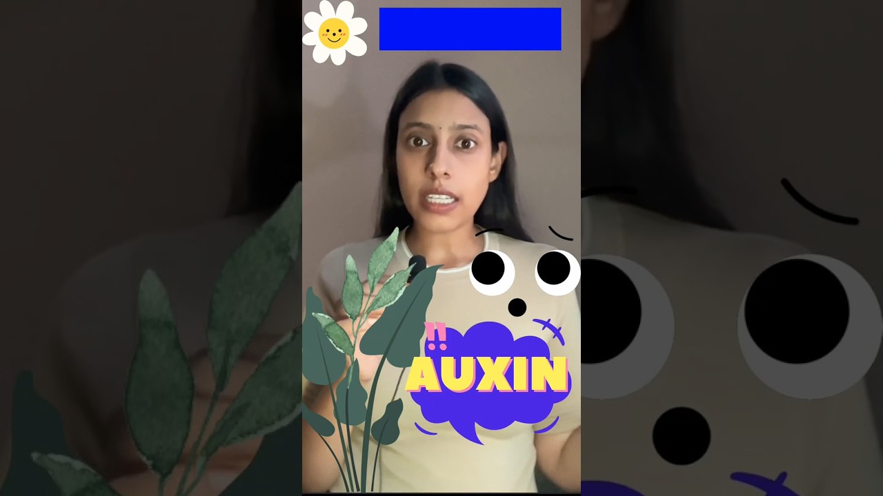 🌱 Auxin in 60 Sec 🔥 | Functions of Auxin | NEET 2027 #shorts