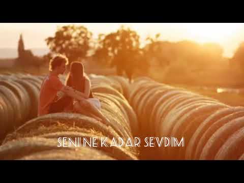 Tahir Şimşek - Seni ne kadar sevdim