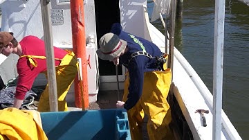 Longline Fishing: a tragedy of the commons