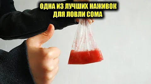 ЛУЧШАЯ НАСАДКА НА СОМА СВОИМИ РУКАМИ! ПРИГОТОВЛЕНИЕ НАСАДКИ ДЛЯ РЫБАЛКИ И ЛОВЛИ СОМА