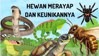 MENGENAL HEWAN MERAYAP DAN KEUNIKANNYA | BELAJAR UNTUK ANAK BALITA PAUD TK DAN SD | NESSA KIDS