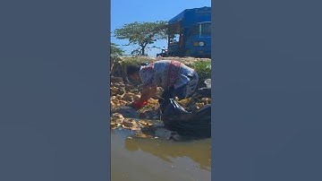 Remove Trash and plastic Clogged Culvert pipe #shorts #cleaning