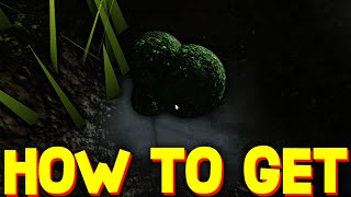 HOW TO GET ALIEN SAMPLE in SPACE SIMULATOR! ROBLOX