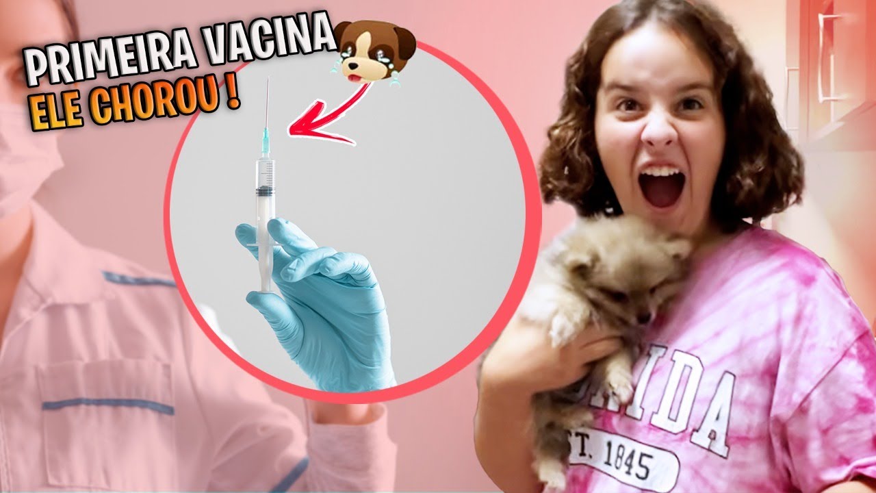 A PRIMEIRAVEZ LEVANDO MEU CACHORRINHO PRA VACINAR
