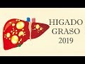 Higado Graso, el video que tu hígado estaba esperando!