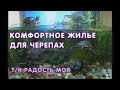 Комфортное жилье для черепах -  т/к Радость моя, 2009 г