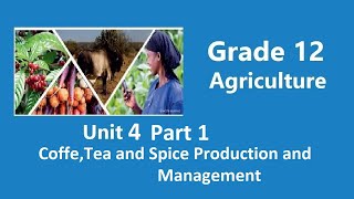 Grade 12 Agriculture Unit 4 Coffee,Tea and Spices Production and  Management Part 1 | New curriculum