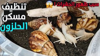 تنظيف مسكن الحلزون الافريقي - سبب ظهور الحشرات بالتربة - African land snails