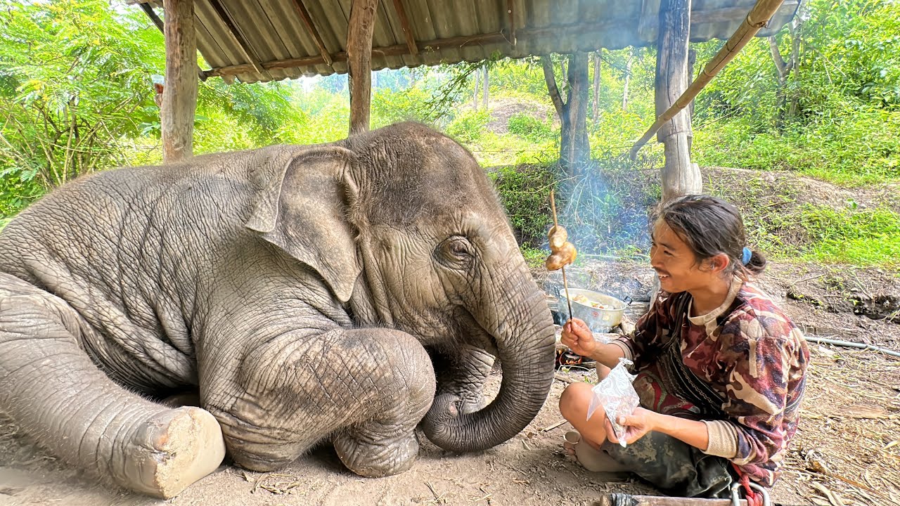 แกงเห็ดเป็น เหตุ‼️ จูเนียร์รอกินข้าว อยากร่วมวงด้วย พี่ควาญวงแตกเลย