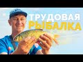 ТРУДОВАЯ РЫБАЛКА! Ловим фидером на реке осенью! ДОЖДАЛИСЬ КЛЕВА ВЕЧЕРОМ!