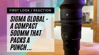 Unveiling the Sigma 500mm f/5.6: Compact Powerhouse in the Sports Series