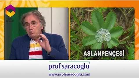 Yüksek Tansiyon için Bitkisel Kür Önerileri - Prof. Dr. İbrahim Adnan Saraçoğlu