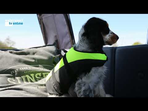 Video: EHBO-tips voor honden: bent u voorbereid?