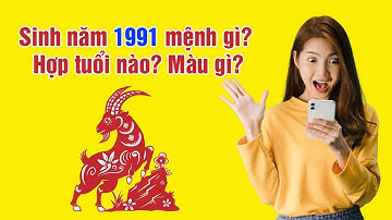 Tuổi Tân Mùi Sinh Năm 1991 Mệnh Gì? Xung - Hợp Với Tuổi Nào, Màu Nào?