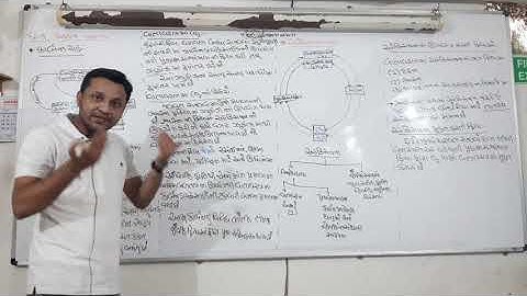 std.9 Science ch.14 Oxygen Cycle and Carbon Cycle