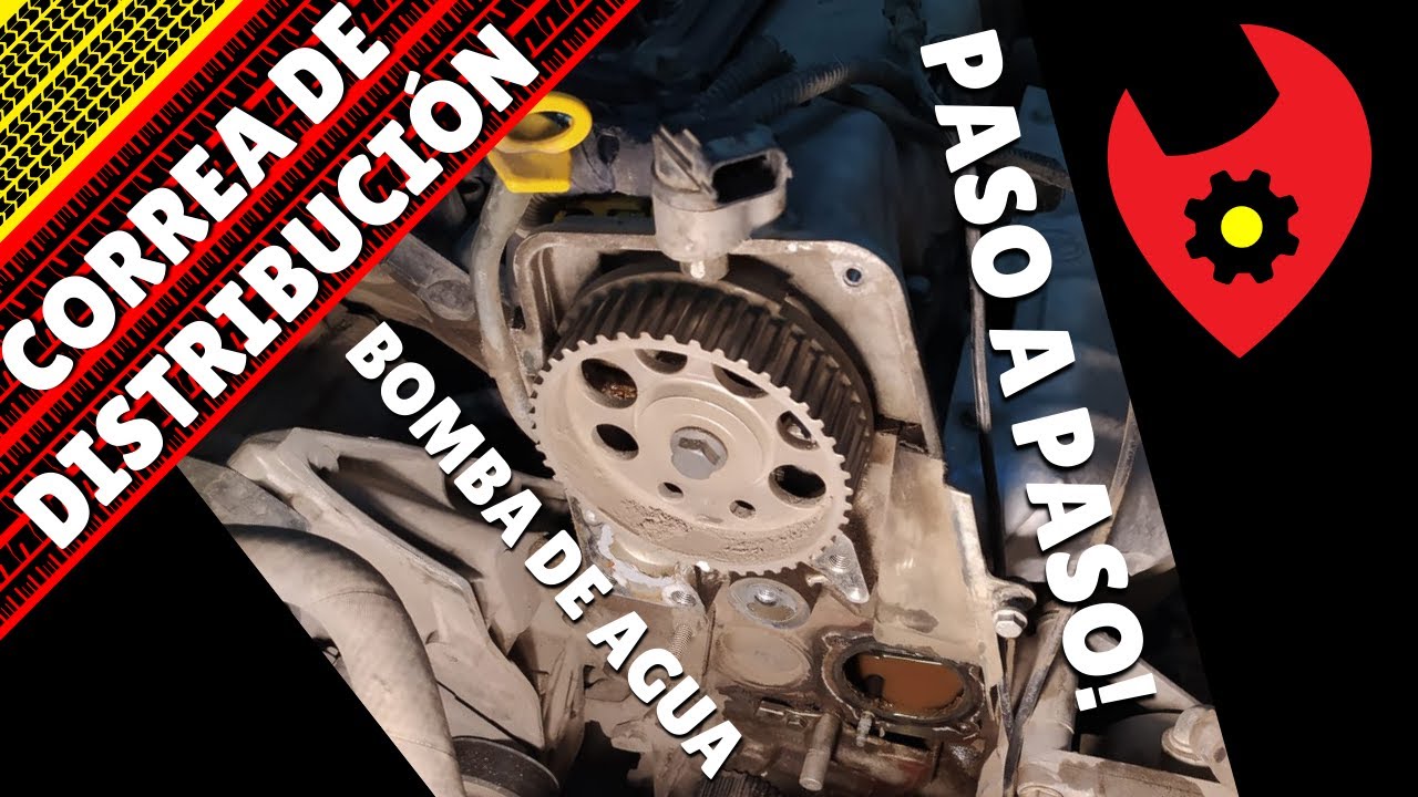 CAMBIO DISTRIBUCION - Fiat 1.4 Fire Paso Paso - FIAT PUNTO - YouTube