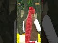 #PMModi Pays Tributes To #MahatmaGandhi At #Rajghat On 80th #IndependenceDay