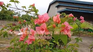 Download Lagu Lagu sunda jang cover RITA TILA MP3 Download Lagu Lagu sunda jang cover RITA TILA MP3