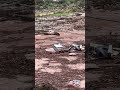 Dozens evacuated in deadly Grand Canyon flooding