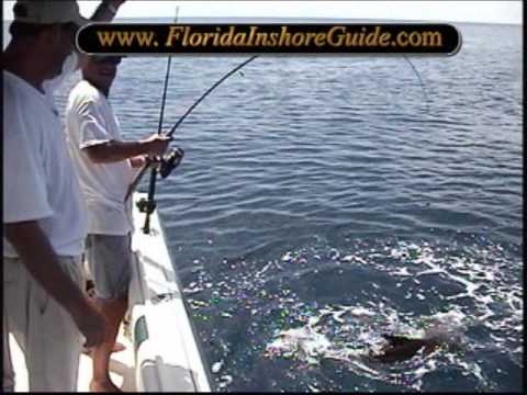 Tarpon, Redfish, Permit, and Big Cobia | Sarasota ...