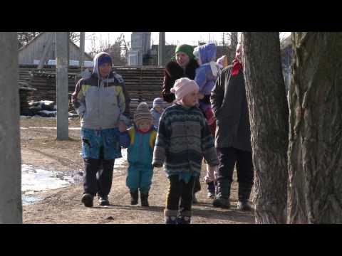 Video: Černobilske gobe: nenormalno življenje pod sevanjem